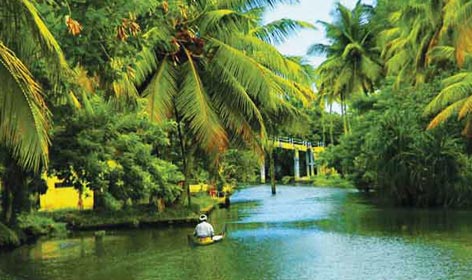 kerala backwaters