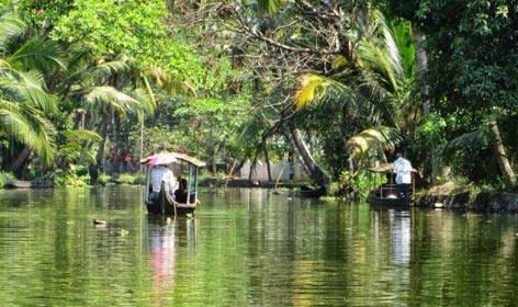 backwater of kerala