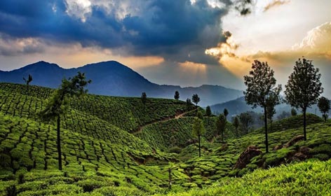 hillsstation of kerala