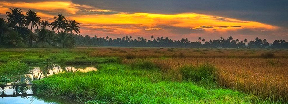 kerala evening view