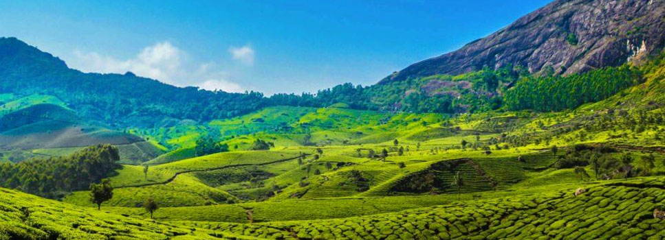 Exploring the Enchanting Beauty of Kerala's Hill Stations on a ...