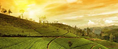 offbeat kerala tours